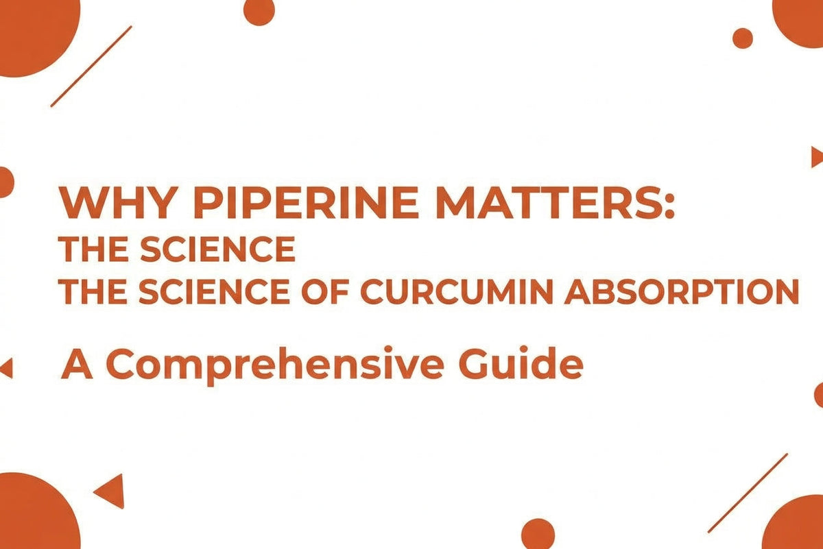 Why Piperine Matters The Science of Curcumin Absorption