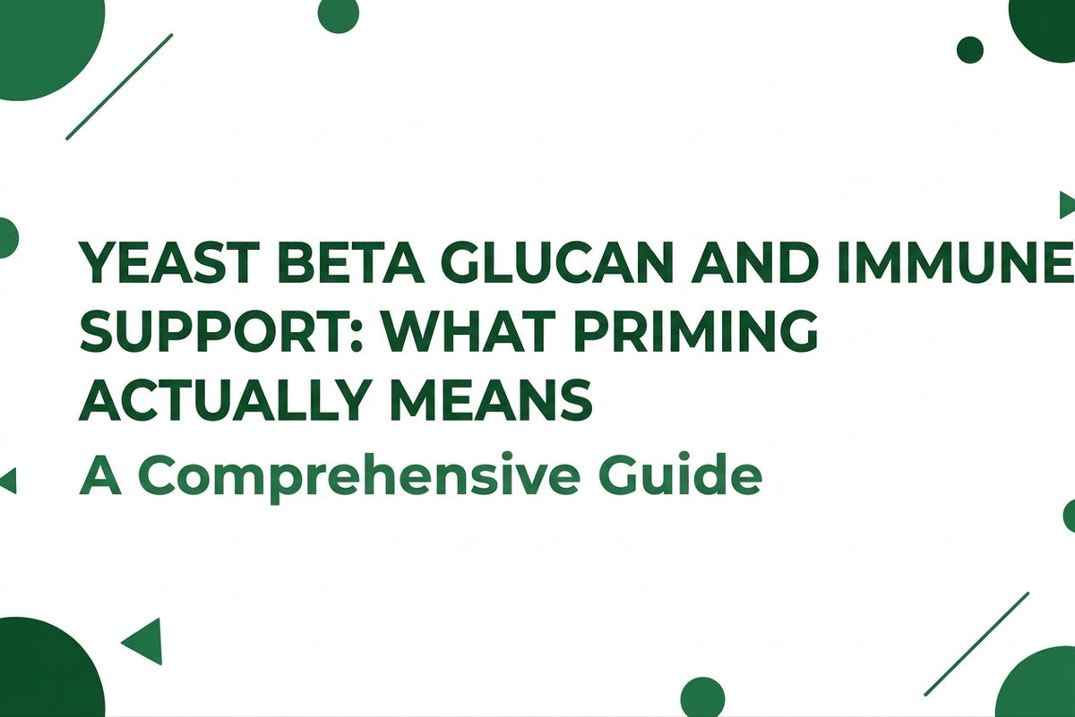 Yeast Beta Glucan and Immune Support What Priming Actually Means